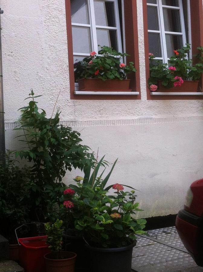 Das Kleine Altstadt Hotel Bernkastel-Kues Eksteriør bilde